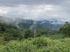 IMG_5658.JPG