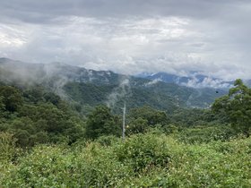 IMG_5659.JPG