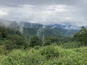 IMG_5660.JPG