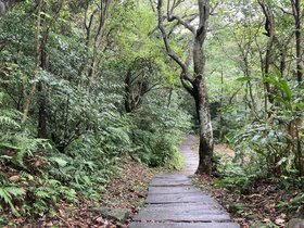 IMG_5677.JPG