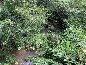 IMG_5708.JPG