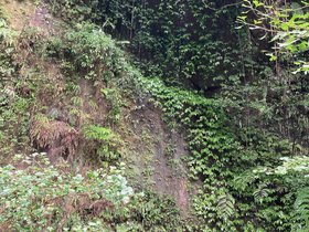 IMG_5718.JPG