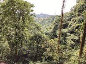 IMG_5734.JPG