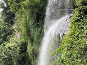 IMG_5771.JPG