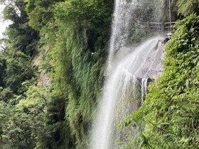 IMG_5772.JPG