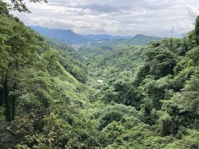 IMG_5774.JPG