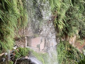 IMG_5789.JPG