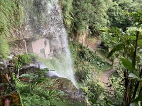 IMG_5790.JPG