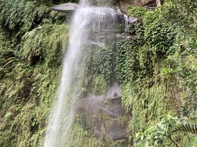 IMG_5793.JPG