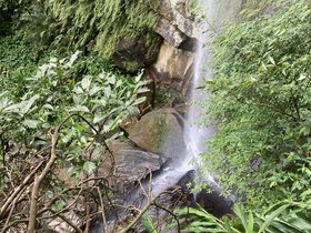 IMG_5795.JPG