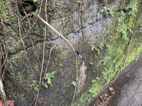 IMG_5796.JPG