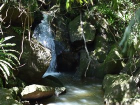 DSC_0191.JPG