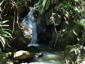 DSC_0192.JPG