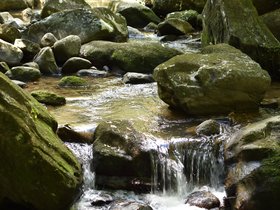 DSC_0205.JPG