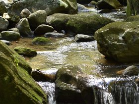 DSC_0206.JPG