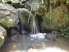 DSC_0208.JPG