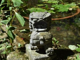 DSC_0210.JPG
