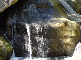 DSC_0212.JPG