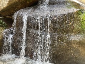 IMG_5443.JPG