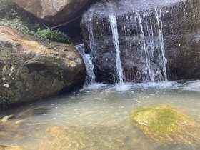 IMG_5455.JPG