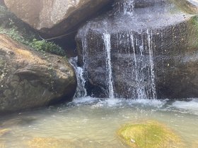 IMG_5456.JPG