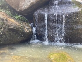 IMG_5457.JPG
