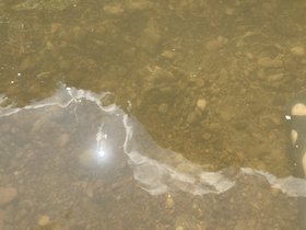 IMG_5483.JPG