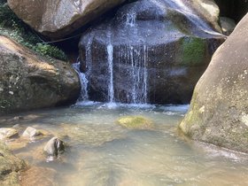 IMG_5484.JPG