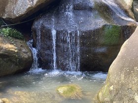 IMG_5485.JPG
