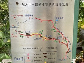 IMG_7241.JPG