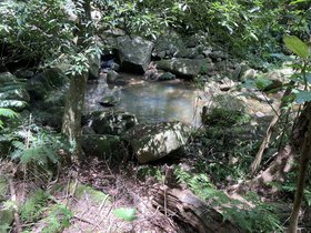 IMG_7373.JPG