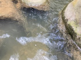 IMG_7380.JPG