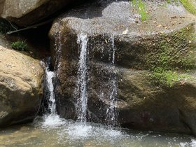 IMG_7381.JPG
