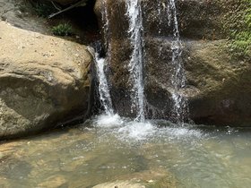 IMG_7439.JPG