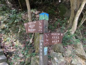IMG_7766.JPG