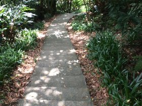 IMG_2614.JPG