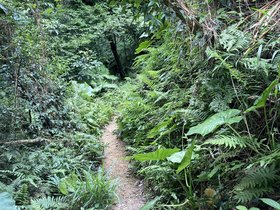 IMG_5540.JPG