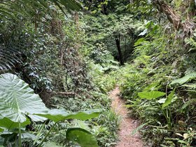 IMG_5541.JPG