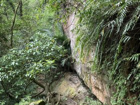 IMG_5551.JPG