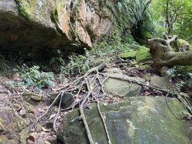 IMG_5592.JPG