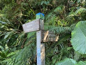 IMG_8597.jpg