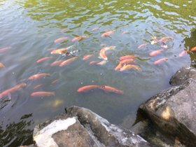 IMG_0575.JPG