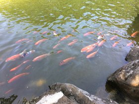 IMG_0576.JPG
