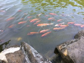 IMG_0577.JPG