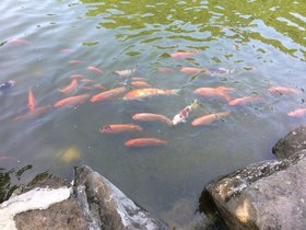 IMG_0578.JPG