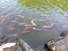 IMG_0579.JPG