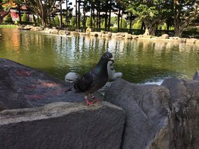 IMG_0585.JPG