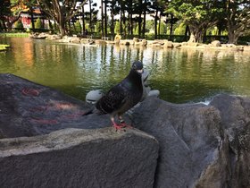 IMG_0586.JPG