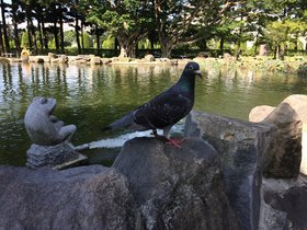 IMG_0587.JPG