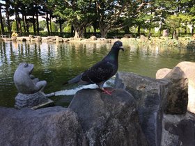 IMG_0588.JPG